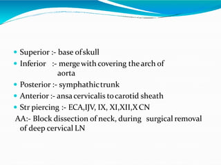  Superior :- base ofskull
 Inferior :- mergewith covering thearch of
aorta
 Posterior :- symphathictrunk
 Anterior :- ansacervicalis tocarotid sheath
 Str piercing :- ECA,IJV, IX, XI,XII,XCN
AA:- Block dissection of neck, during surgical removal
of deep cervical LN
 