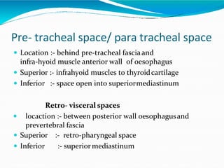 Pre- tracheal space/ para tracheal space
 Location :- behind pre-tracheal fasciaand
infra-hyoid muscle anterior wall of oesophagus
 Superior :- infrahyoid muscles to thyroidcartilage
 Inferior :- space open into superiormediastinum
Retro- visceral spaces
 locaction :- between posterior wall oesophagusand
prevertebral fascia
 Superior
 Inferior
:- retro-pharyngeal space
:- superiormediastinum
 