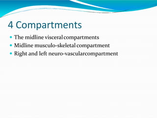 4 Compartments
 The midline visceralcompartments
 Midline musculo-skeletalcompartment
 Right and left neuro-vascularcompartment
 