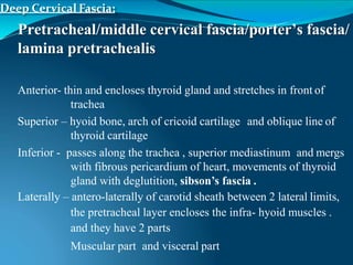 Deep Cervical Fascia:
Pretracheal/middle cervical fascia/porter’s fascia/
lamina pretrachealis
Anterior- thin and encloses thyroid gland and stretches in front of
trachea
Superior – hyoid bone, arch of cricoid cartilage and oblique line of
thyroid cartilage
Inferior - passes along the trachea , superior mediastinum and mergs
with fibrous pericardium of heart, movements of thyroid
gland with deglutition, sibson’s fascia .
Laterally – antero-laterally of carotid sheath between 2 lateral limits,
the pretracheal layer encloses the infra- hyoid muscles .
and they have 2 parts
Muscular part and visceral part
 