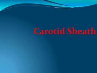 Carotid Sheath
 