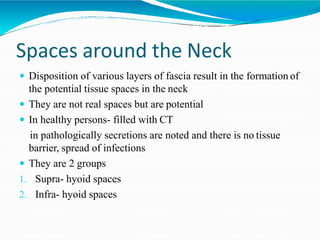 Spaces around the Neck
 Disposition of various layers of fascia result in the formation of
the potential tissue spaces in the neck
 They are not real spaces but are potential
 In healthy persons- filled with CT
in pathologically secretions are noted and there is no tissue
barrier, spread of infections
 They are 2 groups
1. Supra- hyoid spaces
2. Infra- hyoid spaces
 