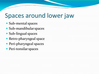 Spaces around lower jaw
 Sub-mental spaces
 Sub-mandibularspaces
 Sub-lingual spaces
 Retro-pharyngeal space
 Peri-pharyngeal spaces
 Peri-tonsilarspaces
 