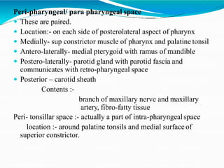 Peri-pharyngeal/ para pharyngeal space
 These are paired.
 Location:- on each side of posterolateral aspect of pharynx
 Medially- sup constrictor muscle of pharynx and palatine tonsil
 Antero-laterally- medial pterygoid with ramus of mandible
 Postero-laterally- parotid gland with parotid fascia and
communicates with retro-pharyngeal space
 Posterior – carotid sheath
Contents :-
branch of maxillary nerve and maxillary
artery, fibro-fatty tissue
Peri- tonsillar space :- actually a part of intra-pharyngealspace
location :- around palatine tonsils and medial surface of
superior constrictor.
 