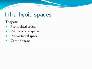 Infra-hyoid spaces
Theyare
 Pretracheal space,
 Retro-visceral space,
 Pre-vertebral space
 Carotid space
 