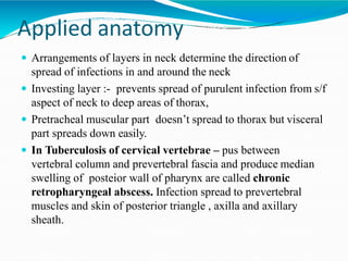 Applied anatomy
 Arrangements of layers in neck determine the direction of
spread of infections in and around the neck
 Investing layer :- prevents spread of purulent infection from s/f
aspect of neck to deep areas of thorax,
 Pretracheal muscular part doesn’t spread to thorax but visceral
part spreads down easily.
 In Tuberculosis of cervical vertebrae – pus between
vertebral column and prevertebral fascia and produce median
swelling of posteior wall of pharynx are called chronic
retropharyngeal abscess. Infection spread to prevertebral
muscles and skin of posterior triangle , axilla and axillary
sheath.
 
