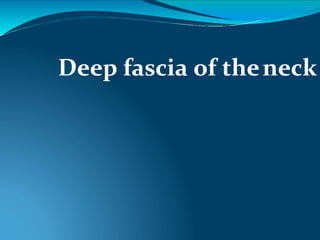 Deep fascia of theneck
 