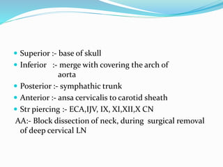 Block Dissection Deep fascia of Neck | PPTX