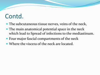 Contd.
 The subcutaneous tissue nerves, veins of the neck,
 The main anatomical potential space in the neck
which lead t...