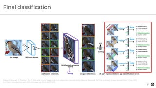 Deep Fine-Grained Image Classification [Keynote at IFIP WCC 2018] | PDF