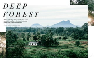 97INTERNATIONALTRAVELLER.COM
Sri Lanka | JOURNEYS
Words NIKKI WALLMAN Photography ELISE HASSEY
D E E P
F O R E S TWelcome to Gal Oya National Park, where nature
runs wild, everything is illuminated, and a new
frontier of Sri Lankan travel beckons.
 