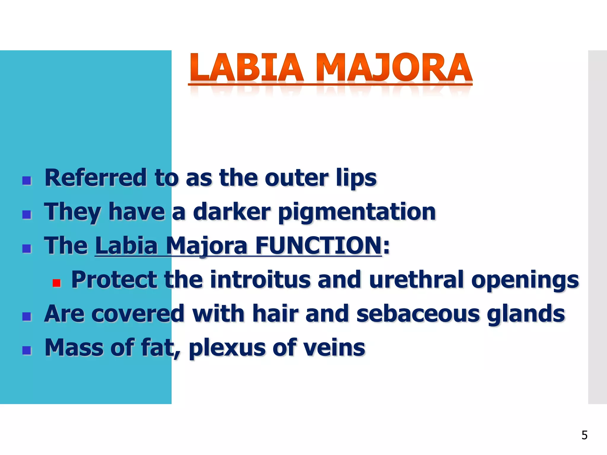 ANATOMY OF FEMALE REPRODUCTIVE SYSTEM | PPTX