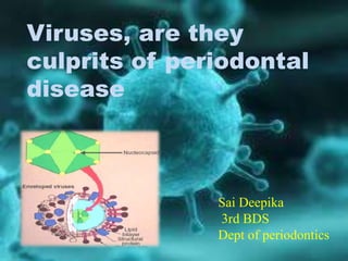 Viruses, are they
culprits of periodontal
disease
Sai Deepika
3rd BDS
Dept of periodontics
 