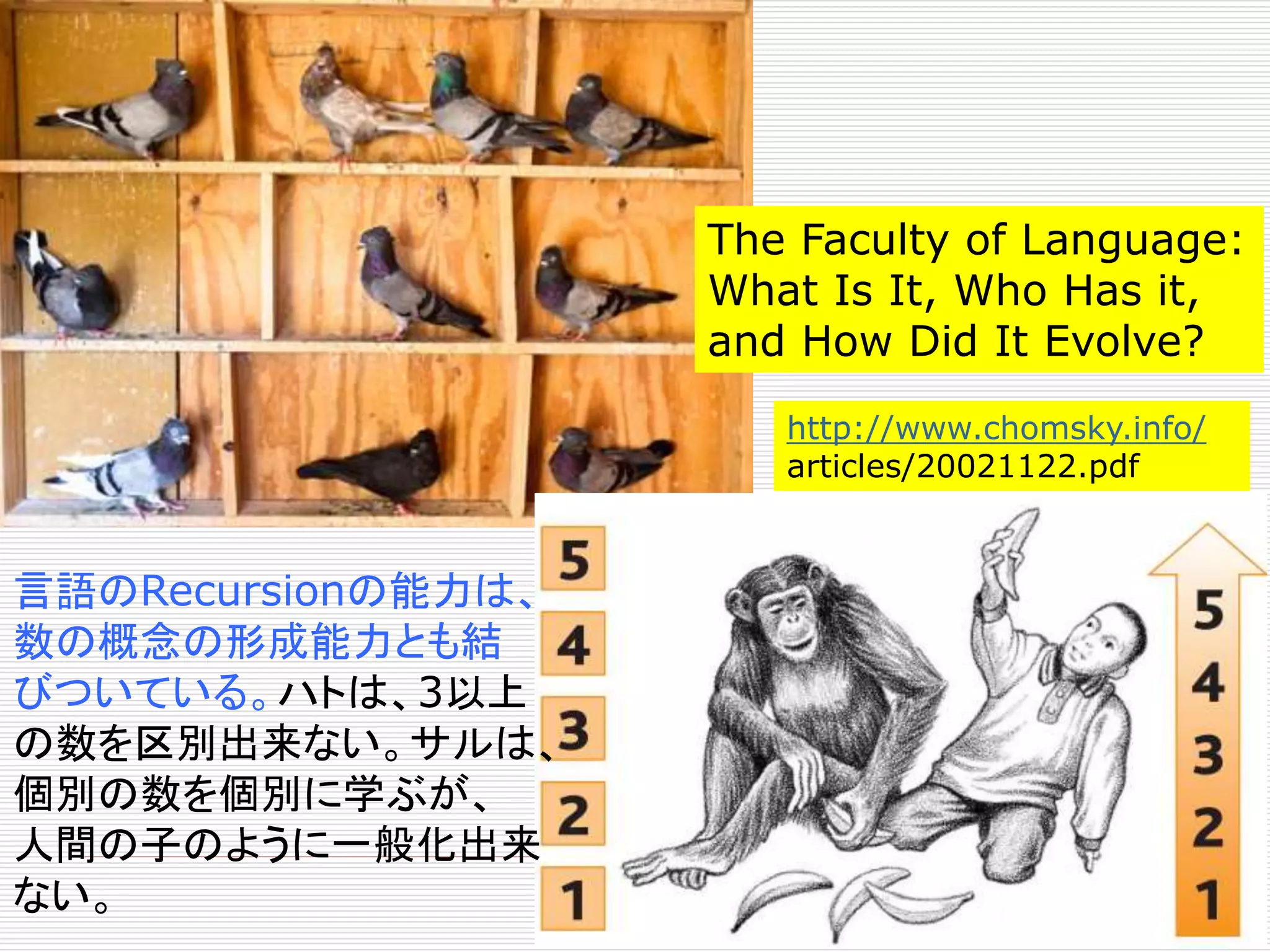 The Faculty of Language: 
What Is It, Who Has it, 
and How Did It Evolve? 
http://www.chomsky.info/ 
articles/20021122.pdf 
言語のRecursionの能力は、 
数の概念の形成能力とも結 
びついている。ハトは、3以上 
の数を区別出来ない。サルは、 
個別の数を個別に学ぶが、 
人間の子のように一般化出来 
ない。 
 