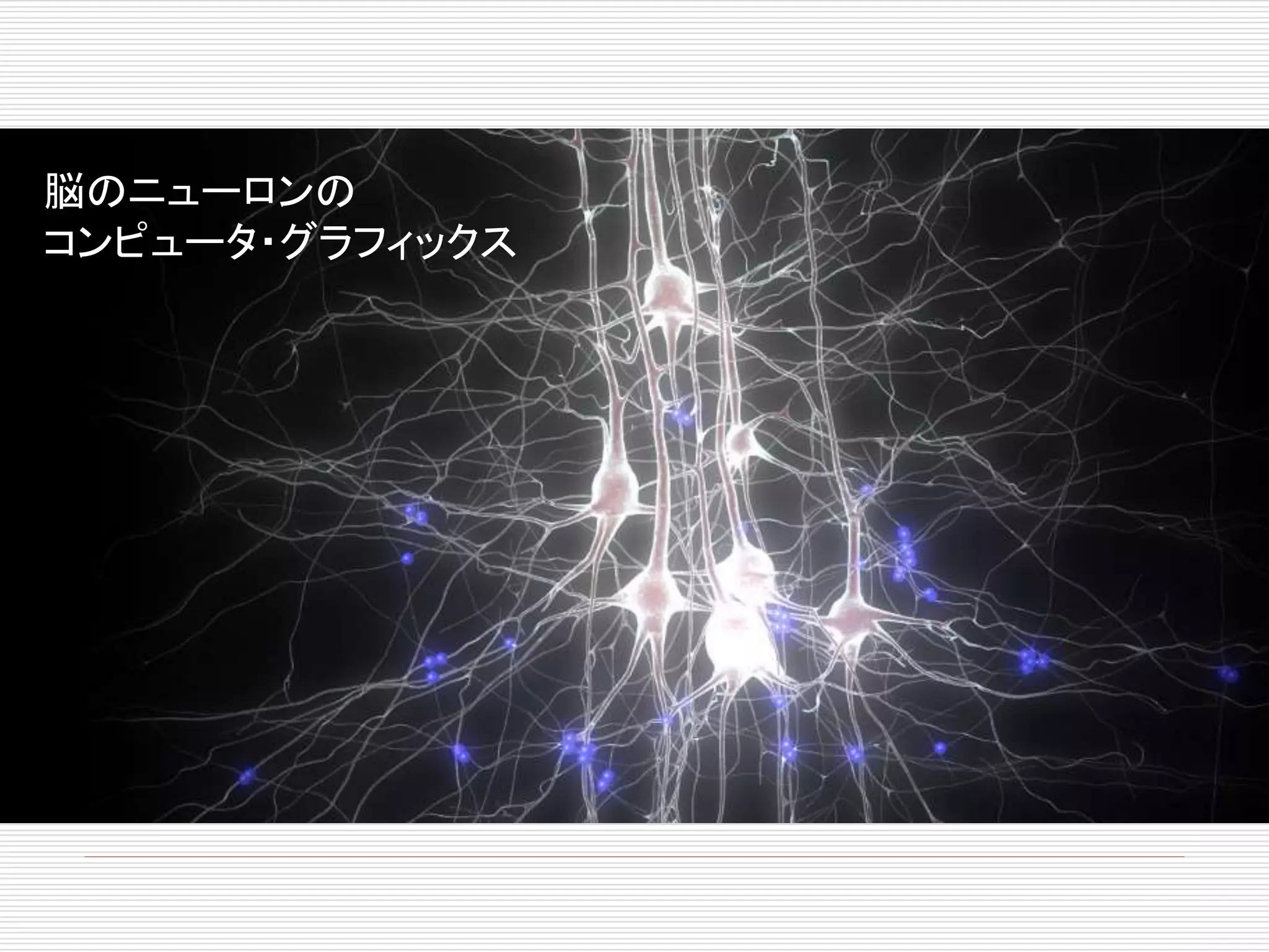 脳のニューロンの 
コンピュータ・グラフィックス 
 