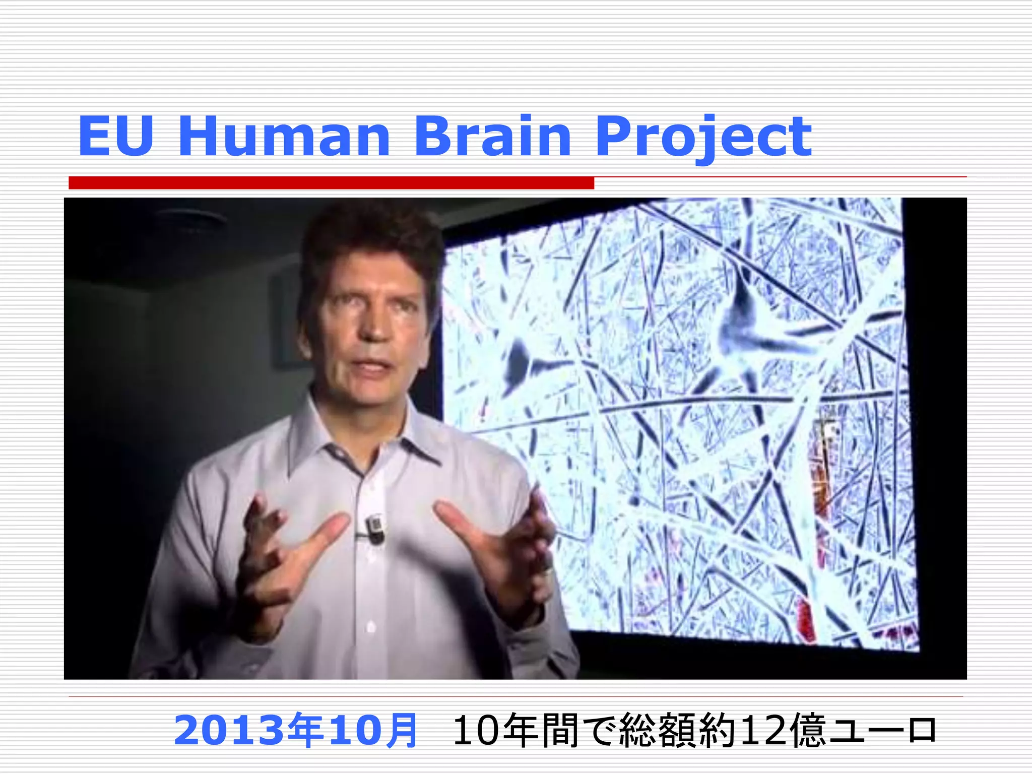 EU Human Brain Project 
2013年10月10年間で総額約12億ユーロ 
 
