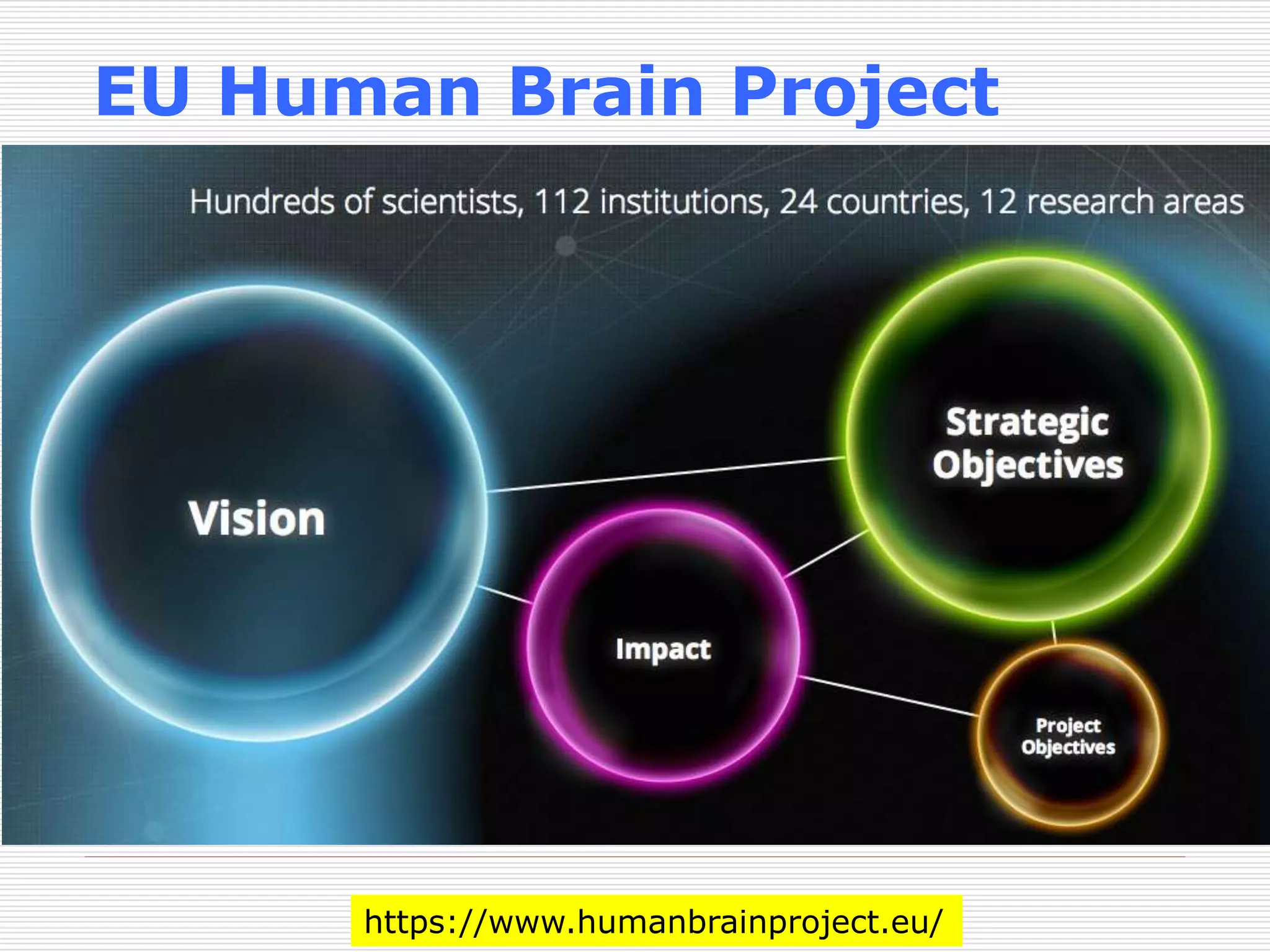 EU Human Brain Project 
https://www.humanbrainproject.eu/ 
 