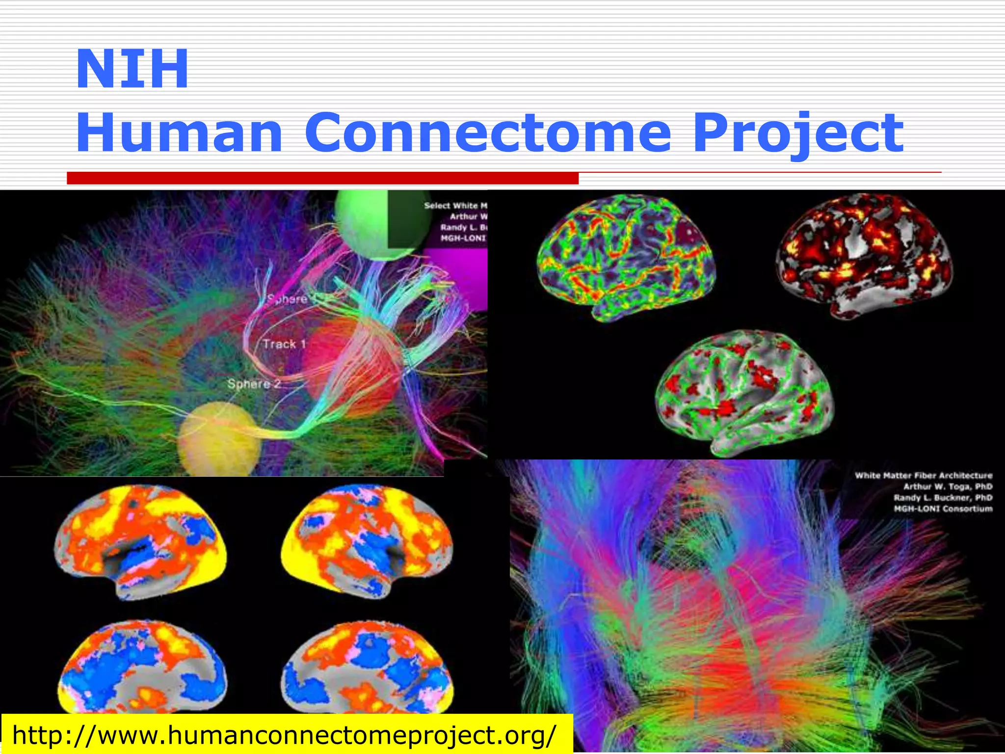 NIH 
Human Connectome Project 
http://www.humanconnectomeproject.org/ 
 