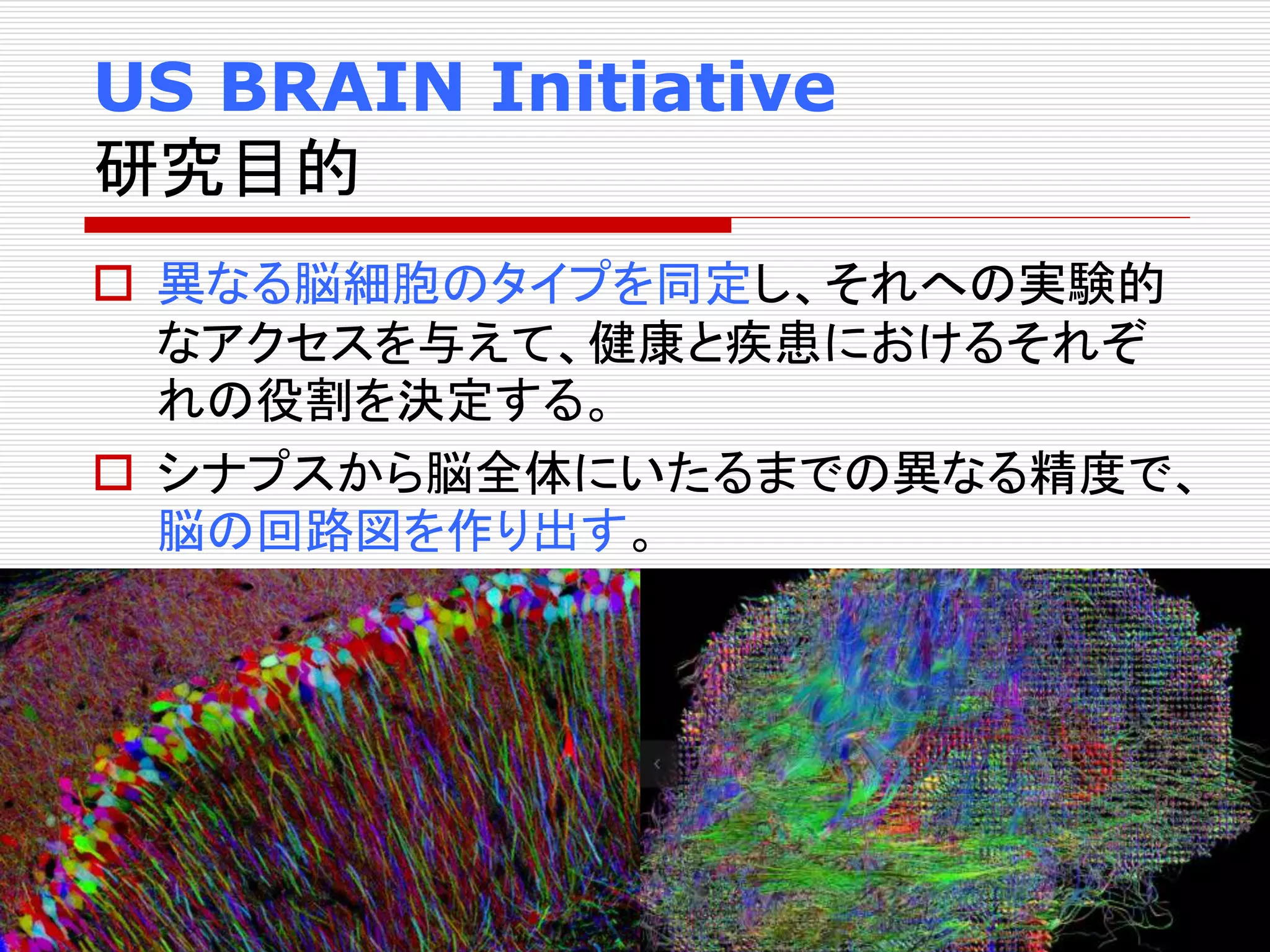 US BRAIN Initiative 
研究目的 
 異なる脳細胞のタイプを同定し、それへの実験的 
なアクセスを与えて、健康と疾患におけるそれぞ 
れの役割を決定する。 
 シナプスから脳全体にいたるまでの異なる精度で、 
脳の回路図を作り出す。 
 