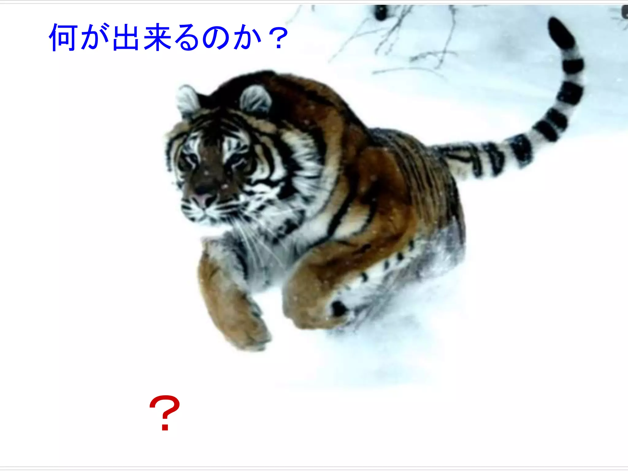 何が出来るのか？ 
？ 
 