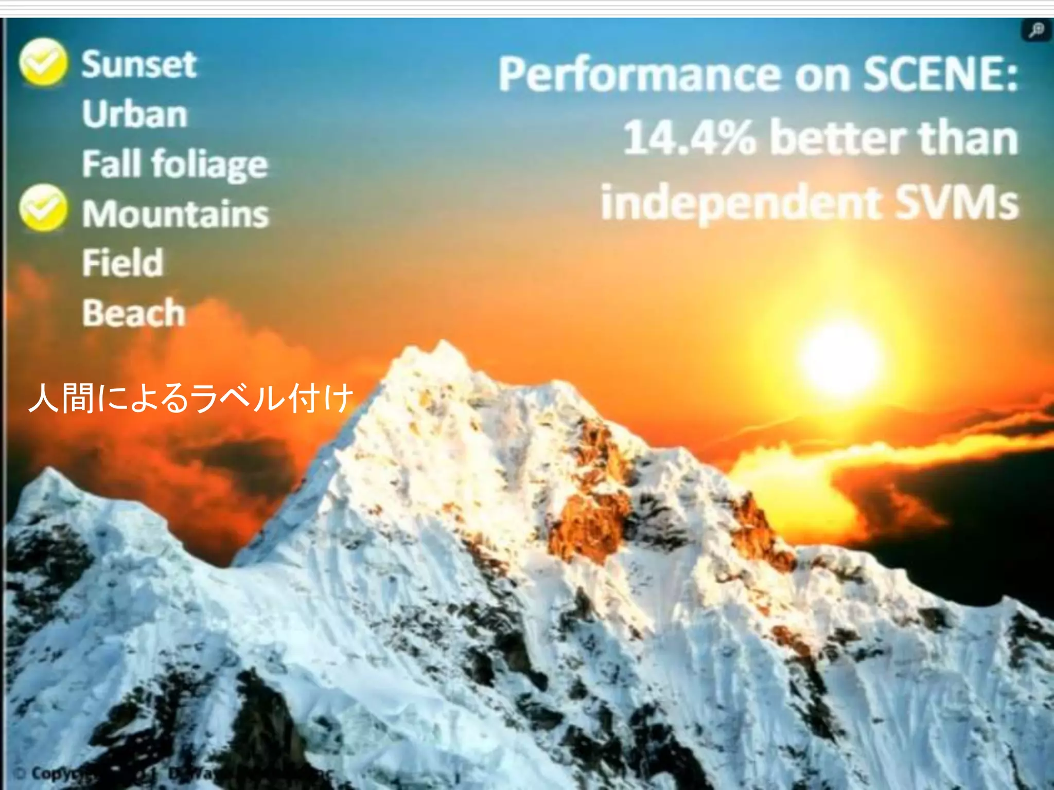 人間によるラベル付け 
 