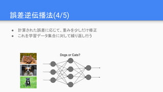 誤差逆伝播法(4/5)
● 計算された誤差に応じて、重みを少しだけ修正
● これを学習データ集合に対して繰り返し行う
Dogs or Cats?
 