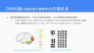 CNNと脳(大脳皮質の視覚野)との類似点
● 脳も階層構造を持ち、下位は単純な特徴、上位は複雑な特徴を獲得
○ V1野: 単純なエッジに反応するフィルタ(Gabor Filterで近似できる)が後天的に獲得
○ IT野: 自動車に反応するニューロン、オペラハウスに反応するニューロン(!)etc
http://kazoo04.hatenablog.com/entry/agi-ac-7 https://bsd.neuroinf.jp/wiki/受容野
 
