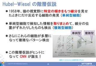 46© 2017 NTT DATA Mathematical Systems Inc.
46
 1958年、猫の視覚野に特定の傾きをもつ線分を見せ
たときにだけ反応する細胞の発見 (単純型細胞)
 単純型細胞で検知した情報を取りまとめて、線分の位
置がずれたりしたものも検出 (複雑型細胞)
 さらにこれらの細胞が多層に
なって複雑なパターン検出
 この階層仮説がヒントに
なって CNN が誕生！
Hubel--Wiesel の階層仮説
瀧雅人「これならわかる深層学習入門」より
単純型 複雑型
 