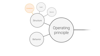 Connection
Operating
principle
Structure
Behavior
Neuron
Layer
 