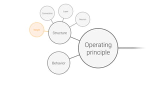 Weight
Operating
principle
Structure
Behavior
Neuron
Layer
Connection
 