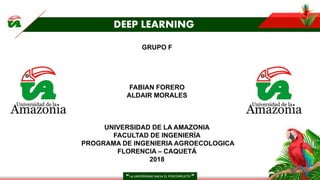 GRUPO F
FABIAN FORERO
ALDAIR MORALES
UNIVERSIDAD DE LA AMAZONIA
FACULTAD DE INGENIERÍA
PROGRAMA DE INGENIERIA AGROECOLOGICA
FLORENCIA – CAQUETÁ
2018
DEEP LEARNING
 