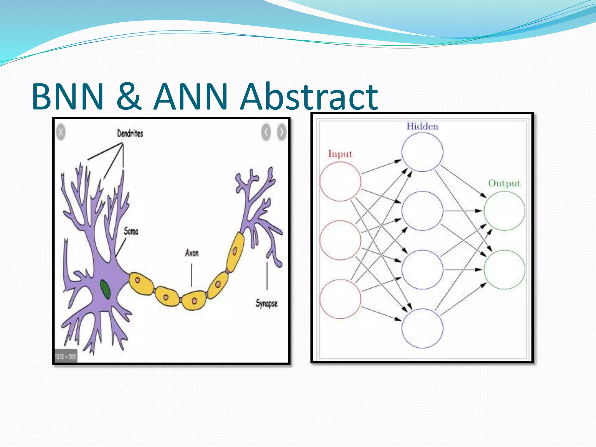 BNN & ANN Abstract
 