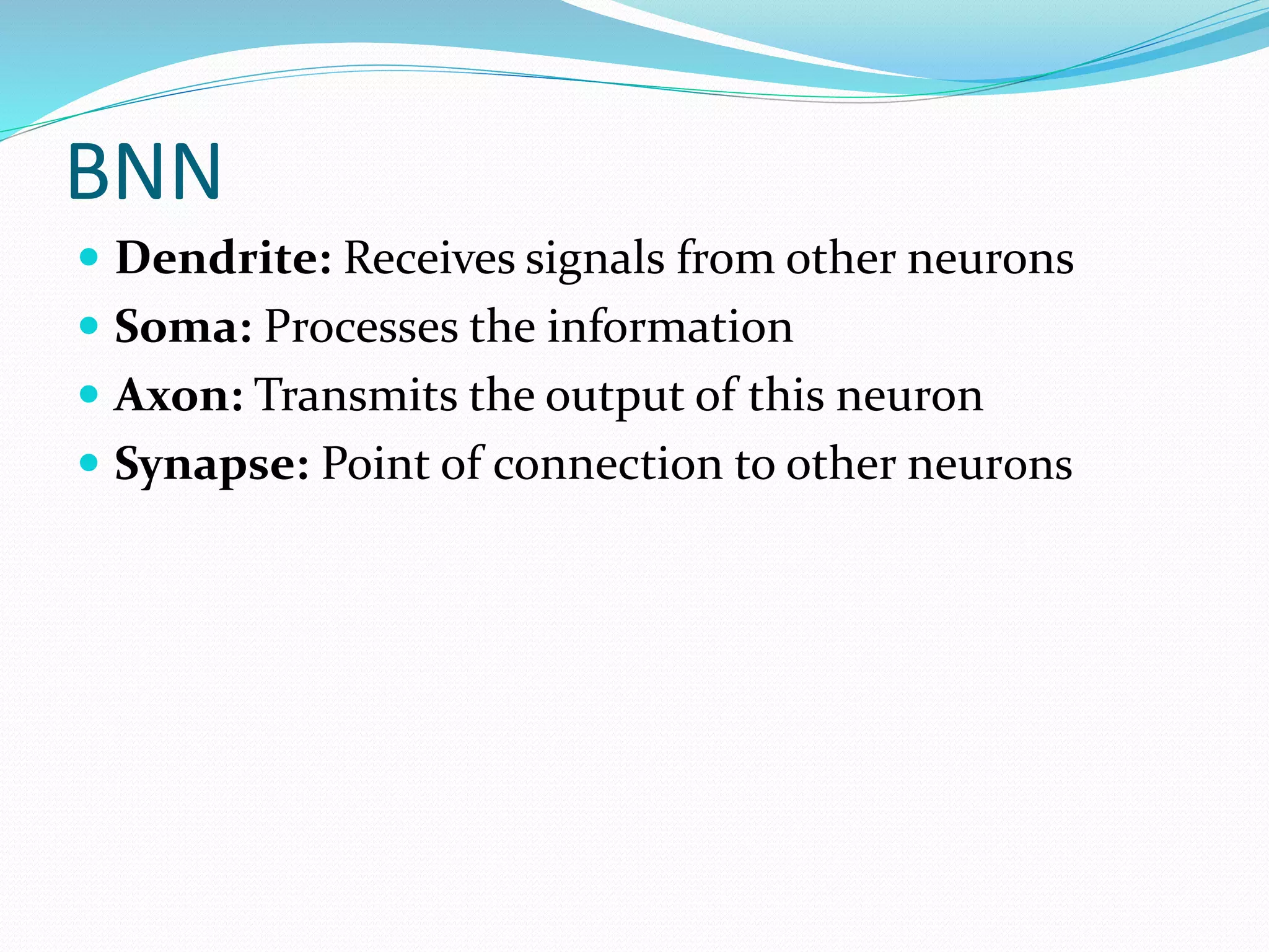 BNN
 Dendrite: Receives signals from other neurons
 Soma: Processes the information
 Axon: Transmits the output of this neuron
 Synapse: Point of connection to other neurons
 