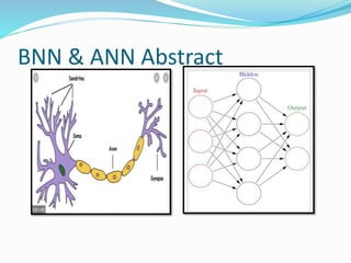 BNN & ANN Abstract
 