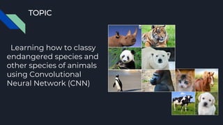 TOPIC
Learning how to classy
endangered species and
other species of animals
using Convolutional
Neural Network (CNN)
 