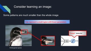 Consider learning an image:
Some patterns are much smaller than the whole image
Can represent a small region with fewer parameters
“break” detector
Endangered specie
 