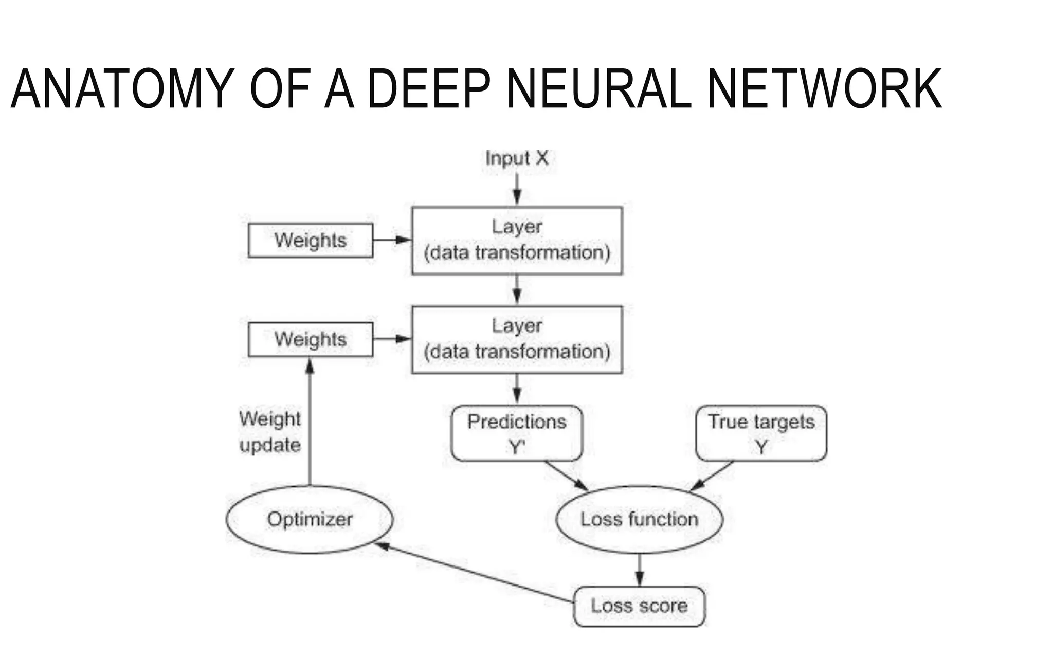 ANATOMY OF A DEEP NEURAL NETWORK
 