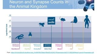 From: https://d1io3yog0oux5.cloudfront.net/_51d5497ffa729abd180ed52c4234217f/brainchipinc/db/217/1582/pdf/Akida+Launch+Presentation.pdf
 