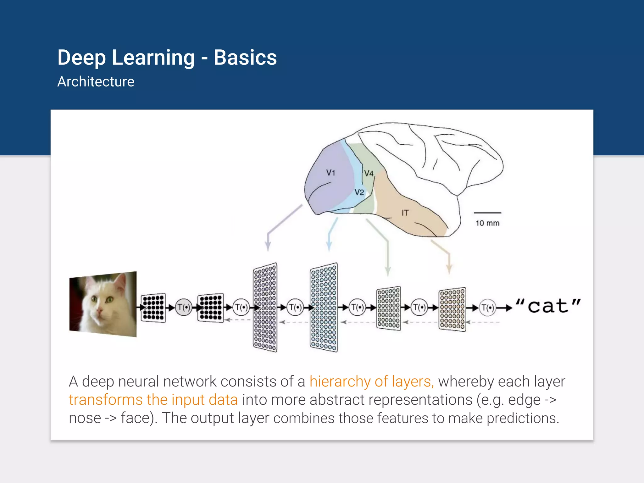 Deep Learning - Basics
Architecture
A deep neural network consists of a hierarchy of layers, whereby each layer
transforms the input data into more abstract representations (e.g. edge ->
nose -> face). The output layer combines those features to make predictions.
 