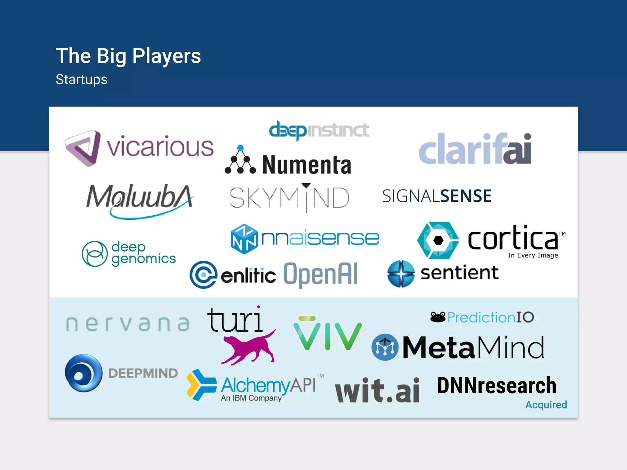 The Big Players
Startups
DNNresearch
Acquired
 