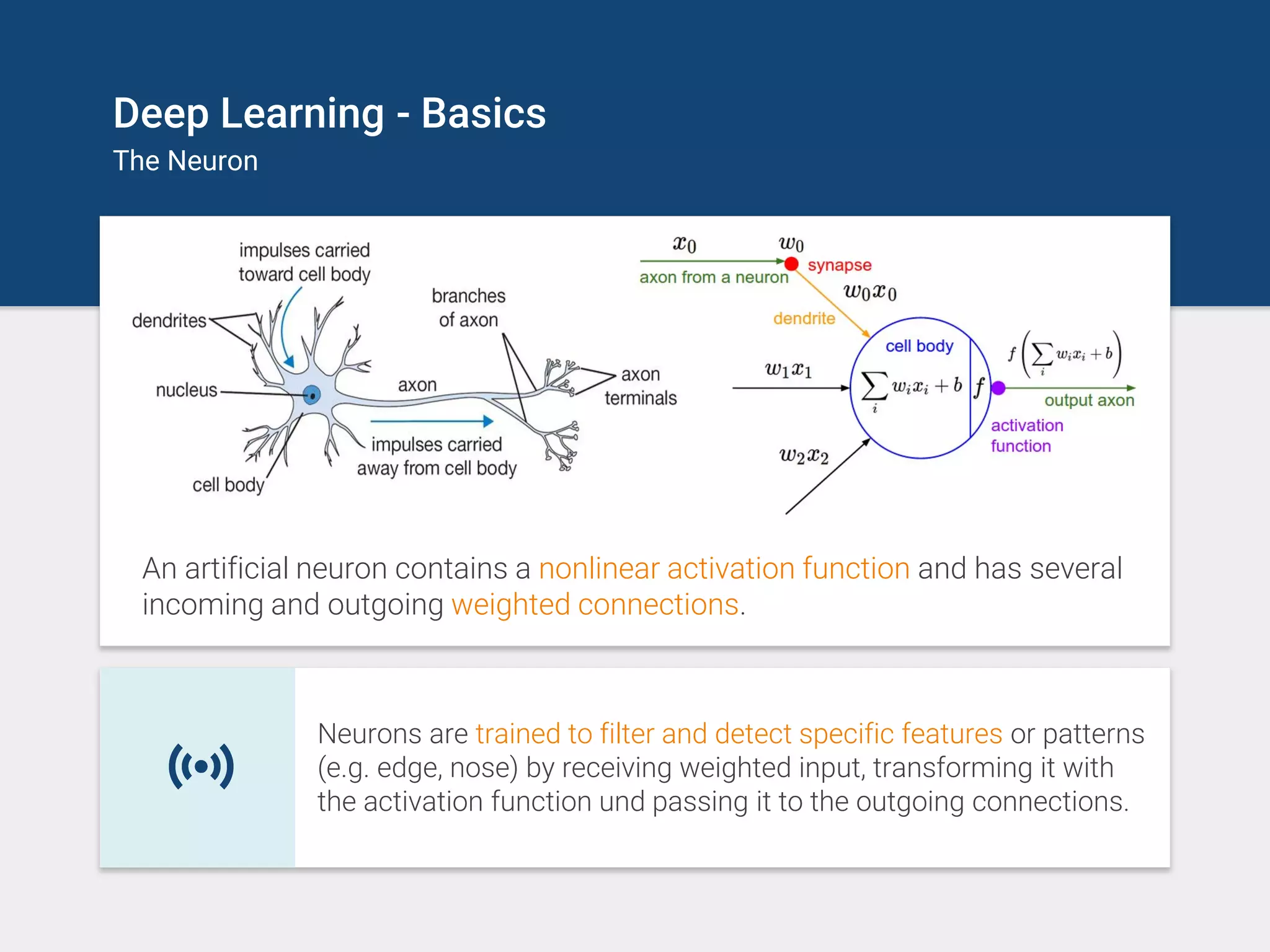 Deep Learning - Basics
The Neuron
An artificial neuron contains a nonlinear activation function and has several
incoming and outgoing weighted connections.
Neurons are trained to filter and detect specific features or patterns
(e.g. edge, nose) by receiving weighted input, transforming it with
the activation function und passing it to the outgoing connections.
 