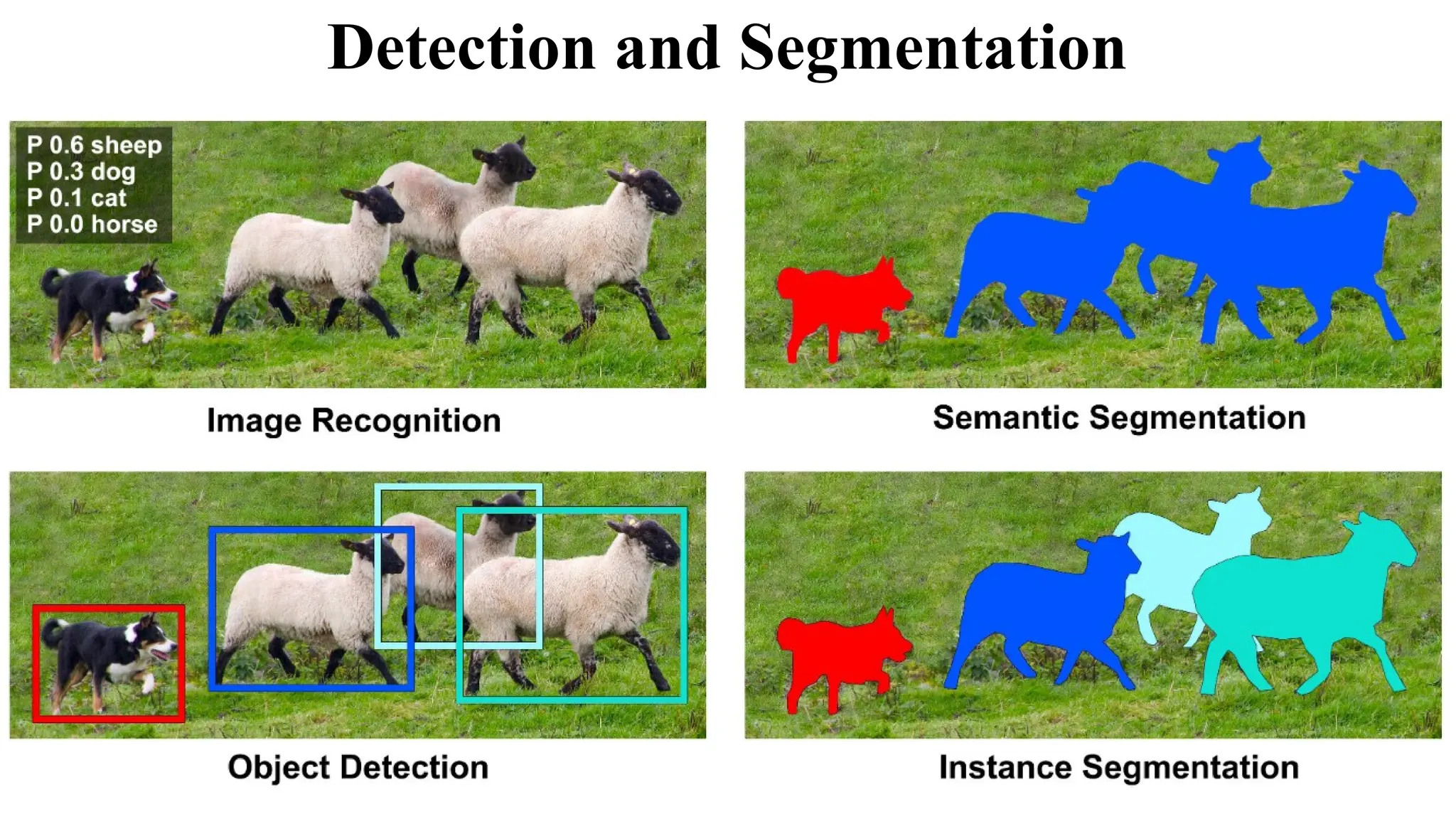 Detection and Segmentation
 