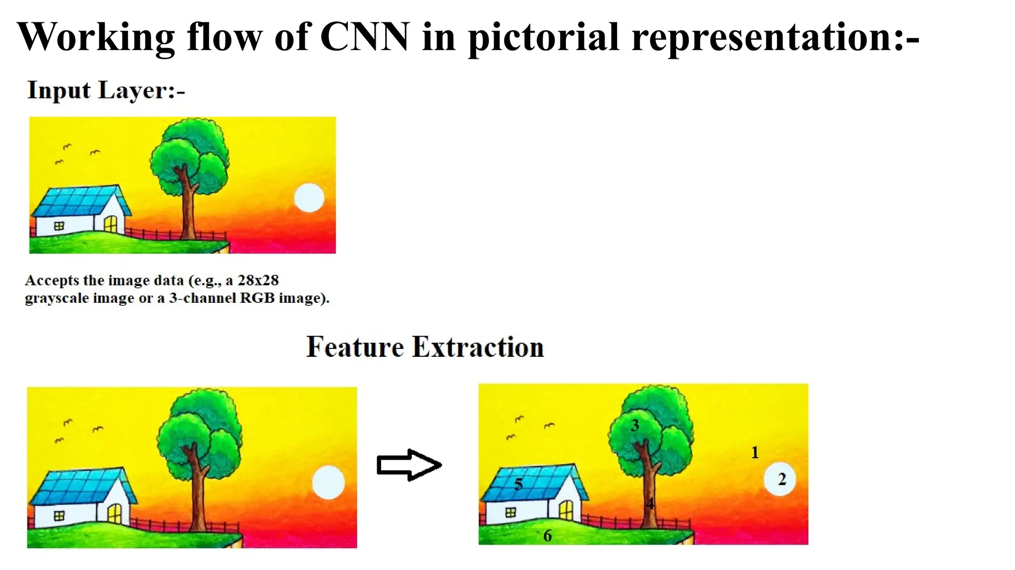 Working flow of CNN in pictorial representation:-
 