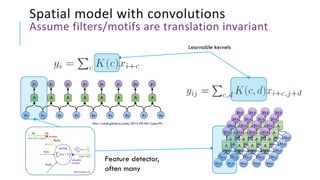 Spatial model with convolutions
Assume filters/motifs are translation invariant
http://colah.github.io/posts/2015-09-NN-Types-FP/
Learnable kernels
andreykurenkov.com
Feature detector,
often many
 