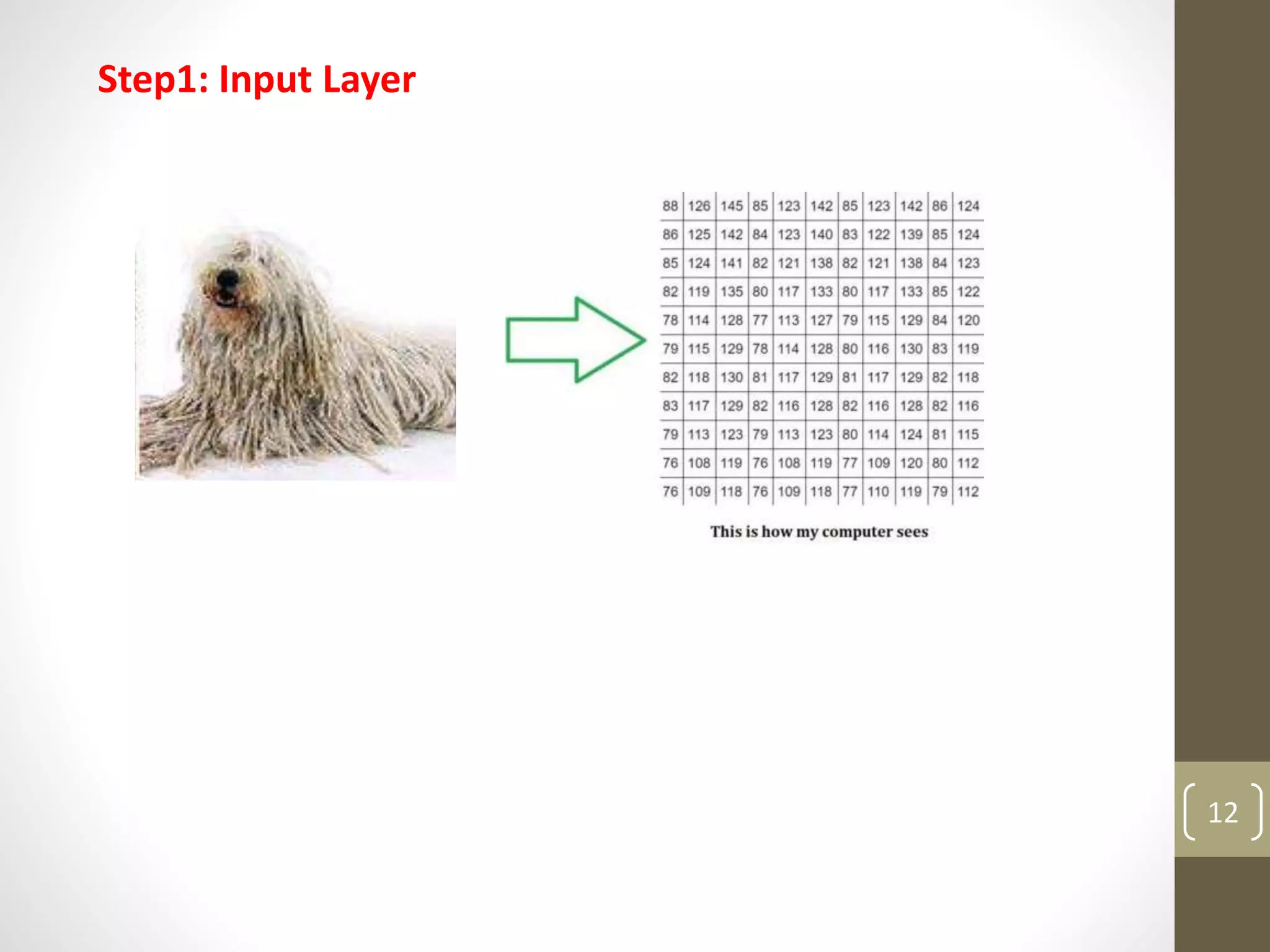 Step1: Input Layer
12
 