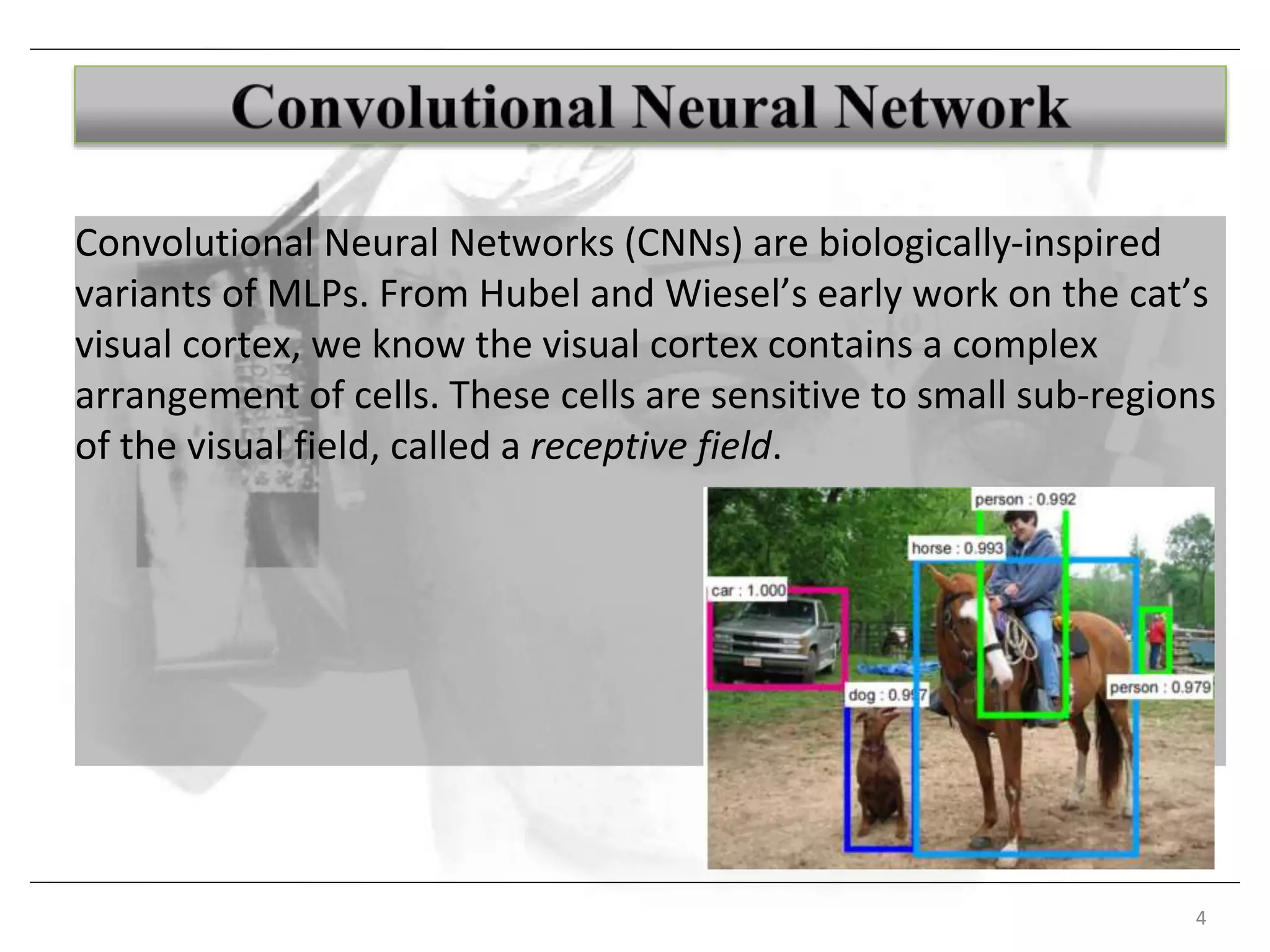 4
Convolutional Neural Networks (CNNs) are biologically-inspired
variants of MLPs. From Hubel and Wiesel’s early work on the cat’s
visual cortex, we know the visual cortex contains a complex
arrangement of cells. These cells are sensitive to small sub-regions
of the visual field, called a receptive field.
 