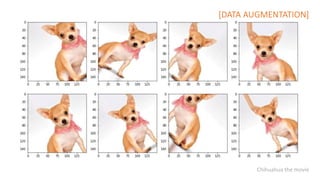Chihuahua the movie
[DATA AUGMENTATION]
 