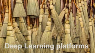 29
Deep Learning platforms
 