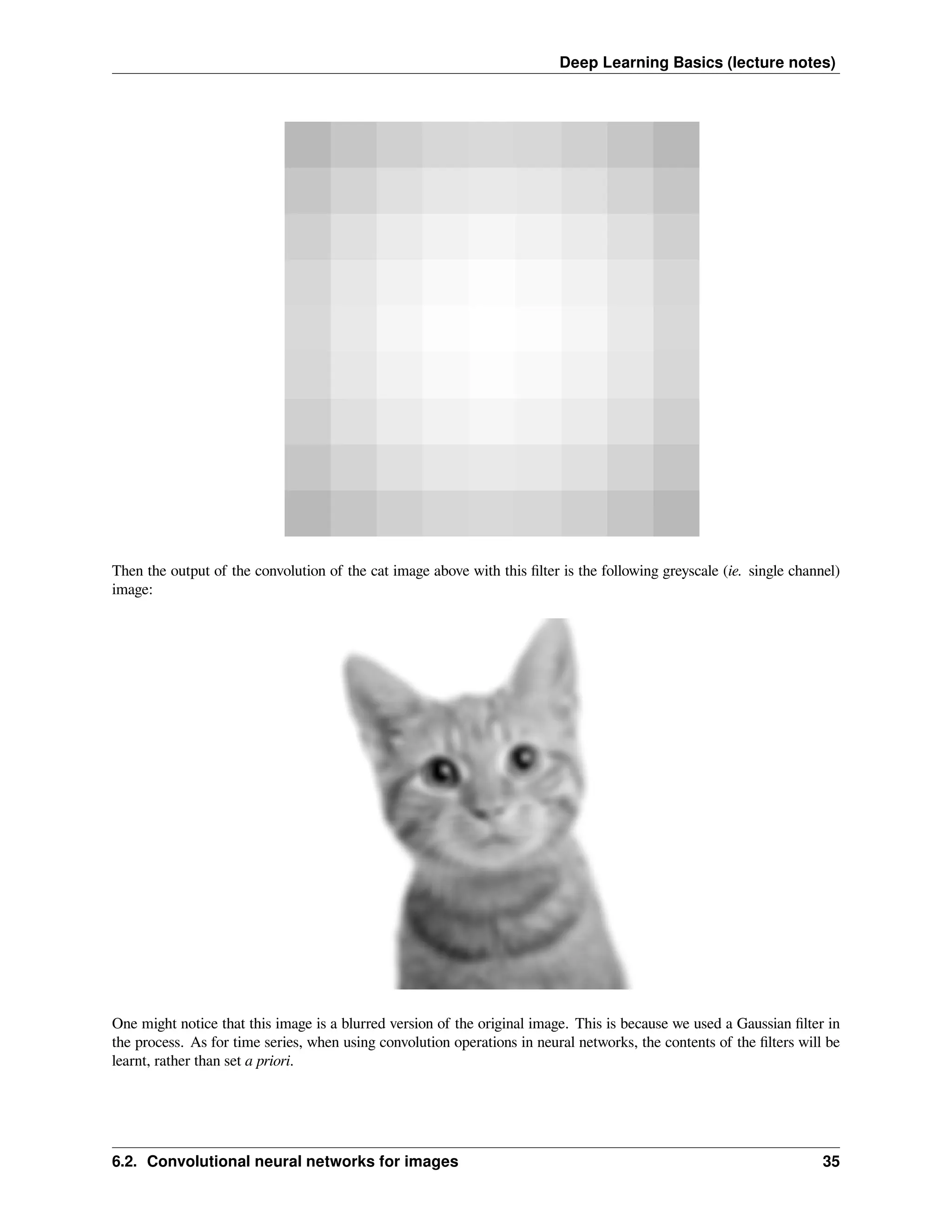 Deep Learning Basics (lecture notes) Then the output of the convolution of the cat image above with this filter is the following greyscale (ie. single channel) image: One might notice that this image is a blurred version of the original image. This is because we used a Gaussian filter in the process. As for time series, when using convolution operations in neural networks, the contents of the filters will be learnt, rather than set a priori. 6.2. Convolutional neural networks for images 35 
