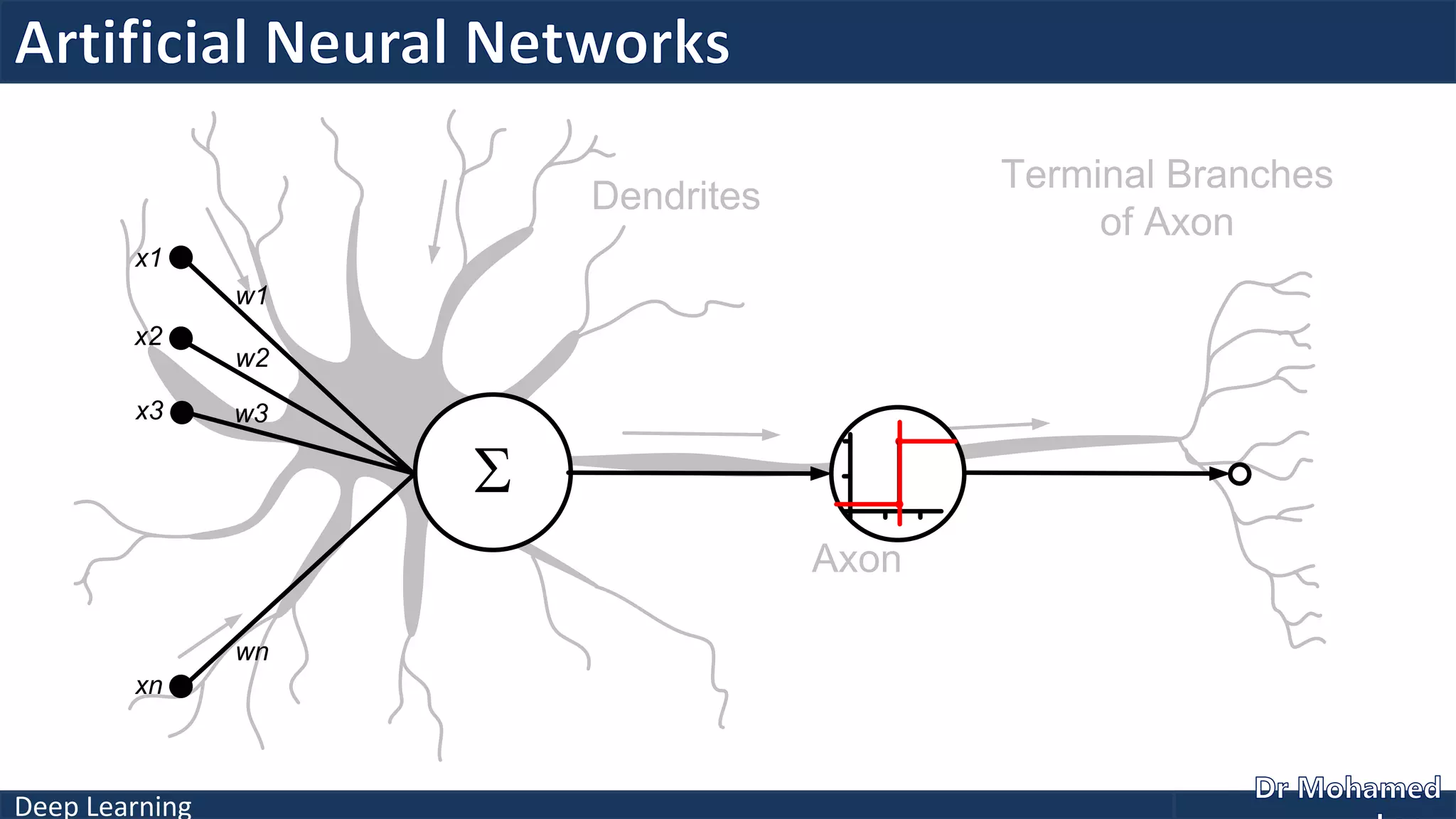 Deep Learning
Axon
Terminal Branches
of Axon
Dendrites
S
x1
x2
w1
w2
wn
xn
x3 w3
 